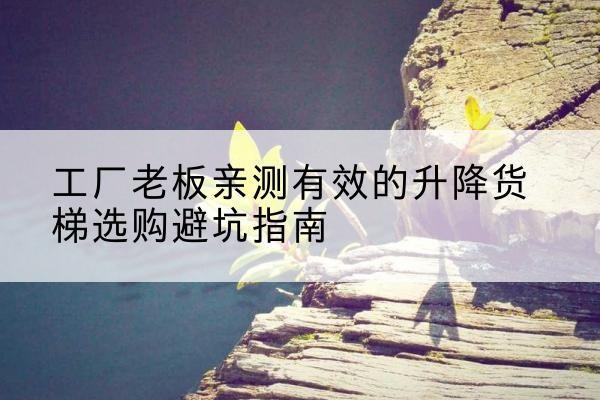 樟树升降货梯怎么选-工厂老板亲测有效的升降货梯选购避坑指南