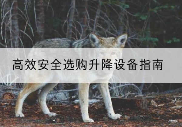 樟树升降货梯厂家推荐-*安全选购升降设备指南