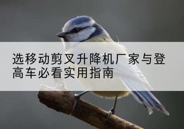 樟树电动升降机厂家-选移动剪叉升降机厂家与登高车必看实用指南