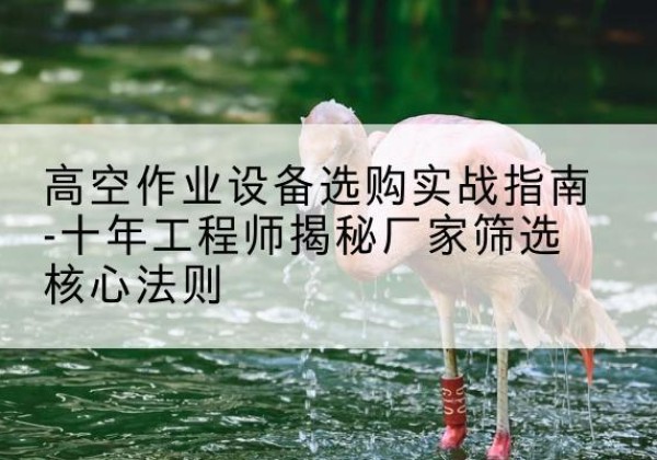 樟树剪叉式升降机厂家-高空作业设备选购实战指南-十年工程师揭秘厂家筛选核心法则