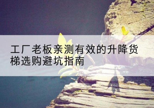 樟树升降货梯怎么选-工厂老板亲测有效的升降货梯选购避坑指南